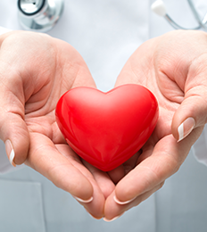 nurse holding plastic heart